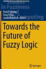 Towards the Future of Fuzzy Logic
