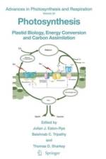 Photosynthesis