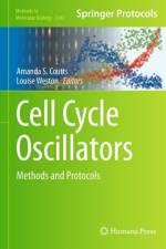 Cell Cycle Oscillators