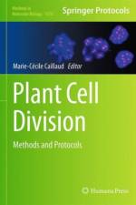 Plant Cell Division