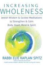 Increasing Wholeness af Elie (Rabbi Elie Kaplan Spitz) Kaplan Spitz