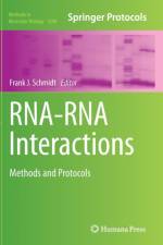 RNA-RNA Interactions