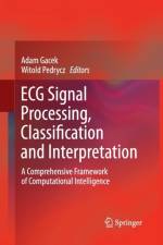 ECG Signal Processing, Classification and Interpretation