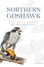 Northern Goshawk, the Gray Ghost af Scott Rashid