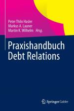 Praxishandbuch Debt Relations