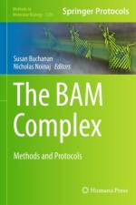 BAM Complex