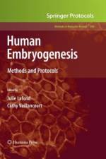 Human Embryogenesis