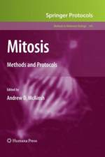 Mitosis