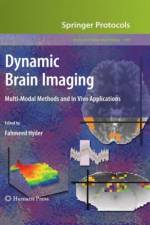 Dynamic Brain Imaging