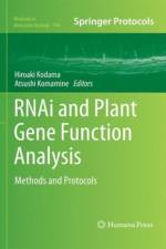 RNAi and Plant Gene Function Analysis