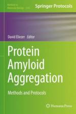Protein Amyloid Aggregation