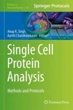 Single Cell Protein Analysis