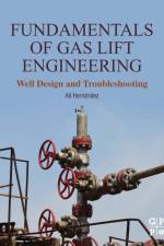 Fundamentals of Gas Lift Engineering af Ali (Gas Lift Specialist Hernandez