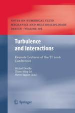 Turbulence and Interactions