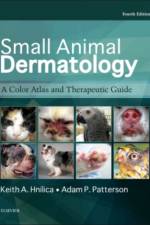 Small Animal Dermatology af Keith A. (www.itchnot.com Hnilica