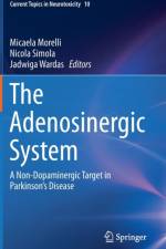 Adenosinergic System
