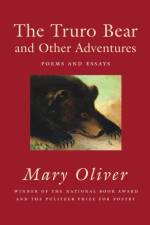 The Truro Bear and Other Adventures