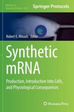 Synthetic mRNA