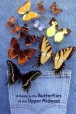 Butterflies in Your Pocket af Steve Hendrix