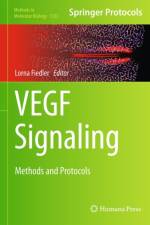 VEGF Signaling