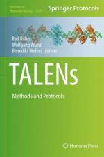 TALENs