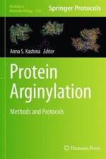 Protein Arginylation