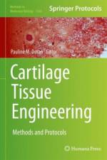 Cartilage Tissue Engineering