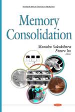 Memory Consolidation