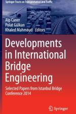 Developments in International Bridge Engineering