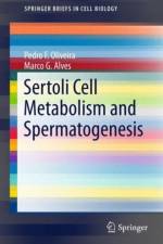 Sertoli Cell Metabolism and Spermatogenesis af Pedro F. Oliveira