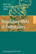 Regulatory RNAs in Prokaryotes