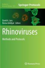 Rhinoviruses