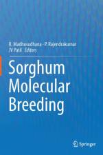 Sorghum Molecular Breeding