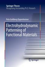 Electrohydrodynamic Patterning of Functional Materials af Pola Goldberg Oppenheimer