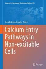 Calcium Entry Pathways in Non-excitable Cells