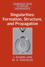 Singularities: Formation, Structure, and Propagation af J. (University of Bristol) Eggers