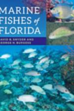 Marine Fishes of Florida af David B. (Senior Scientist Snyder