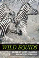 Wild Equids