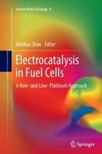 Electrocatalysis in Fuel Cells