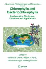 Chlorophylls and Bacteriochlorophylls