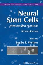 Neural Stem Cells