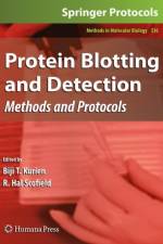 Protein Blotting and Detection