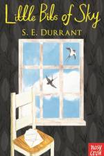 Little Bits of Sky af S. E. Durrant