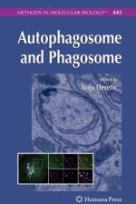 Autophagosome and Phagosome