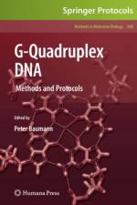 G-Quadruplex DNA