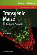Transgenic Maize