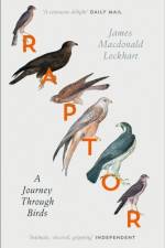 Raptor af James Macdonald Lockhart