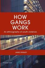 How Gangs Work