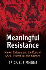 Meaningful Resistance af Erica S. (University of Wisconsin Simmons