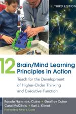 12 Brain/Mind Learning Principles in Action af Renate Nummela Caine